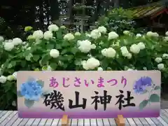 磯山神社のお祭り