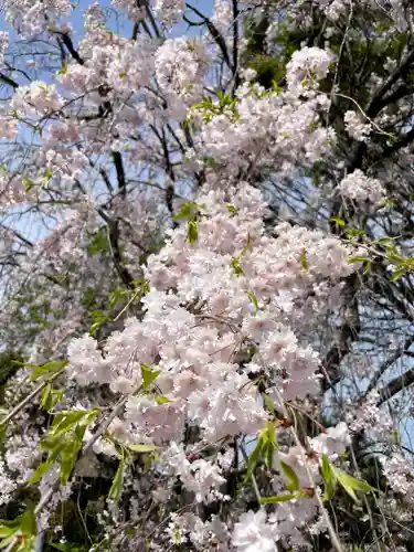 円福寺(群馬県)