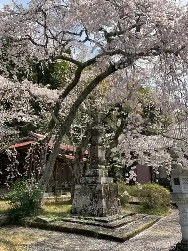成願寺(千葉県)