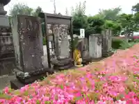 真光寺(千葉県)