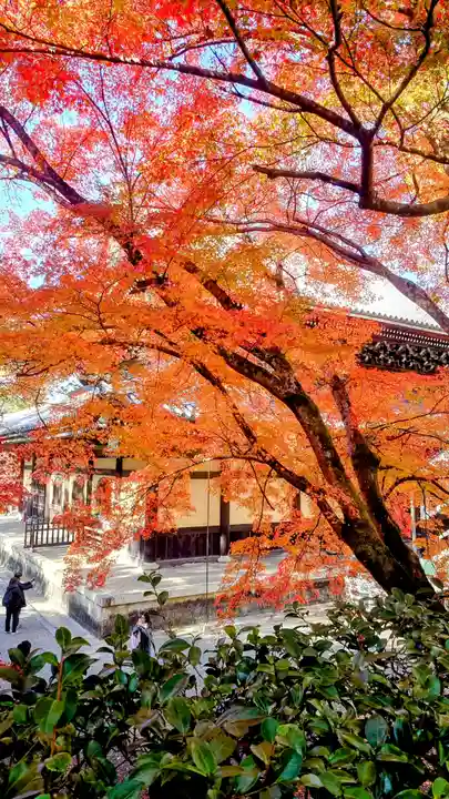 南禅寺(京都府)