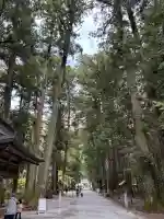 小國神社の{uncategorized: "未分類", other: "その他", undefined: "問題あり", building: "その他建物", grave: "お墓", sacred_gate: "鳥居", guardian: "狛犬", statue: "像", buddha: "仏像", history: "歴史", nature: "自然", garden: "庭園", animal: "動物", pagoda: "塔", temizu: "手水舎", mountain_gate: "山門・神門", sanctuary: "本殿・本堂", subordinate: "末社・摂社", art: "芸術", scenery: "景色", jizo: "地蔵", ema: "絵馬", goshuin: "御朱印", omikuji: "おみくじ", items: "授与品その他", amulet: "お守り", goshuincho: "御朱印帳", eats: "食事", festival: "お祭り", votive_dance: "神楽", shichigosan: "七五三参", wedding: "結婚式", experience: "体験その他", initially: "初詣", around: "周辺", anti_infection: "感染症対策"}
