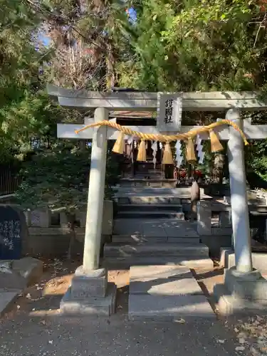甲斐國一宮 浅間神社(山梨県)