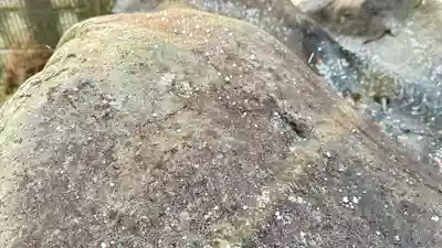 羽黒稲荷神社(岩手県)