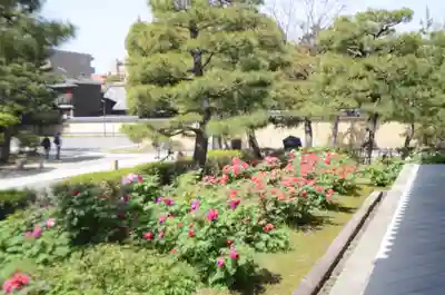 建仁寺（建仁禅寺）(京都府)