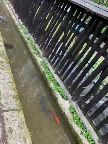 喜連川神社の動物