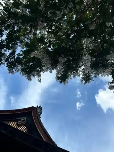 下御霊神社の自然