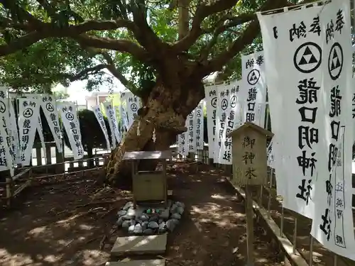 龍口明神社の自然