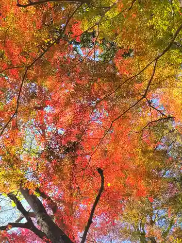 神應寺(京都府)