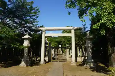 護国寺の鳥居
