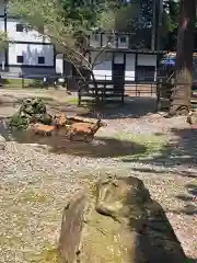 彌彦神社(新潟県)