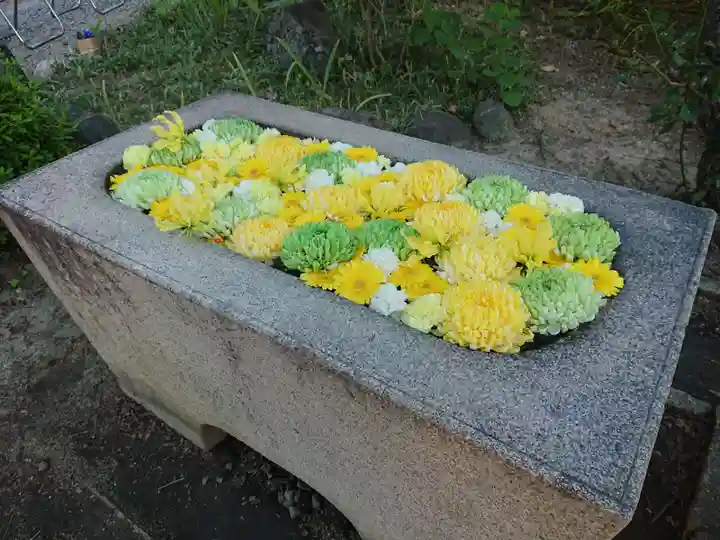 宝珠寺の手水舎