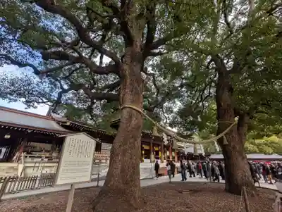 明治神宮(東京都)