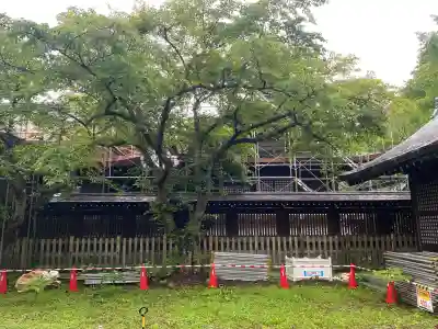 室蘭八幡宮(北海道)