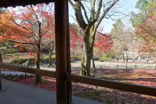 東福禅寺（東福寺）の庭園