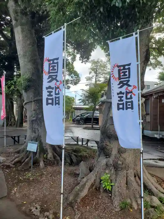 大宮・大原神社(千葉県)