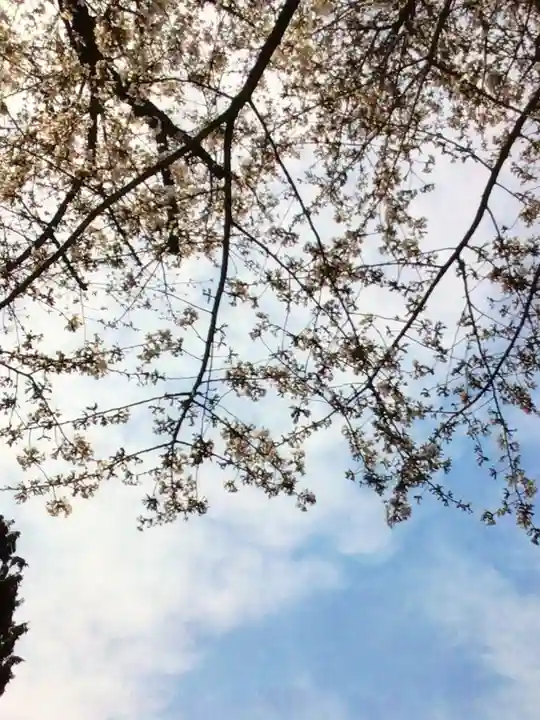 くまくま神社(導きの社 熊野町熊野神社)(東京都)