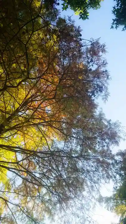 尾張大國霊神社(国府宮)の周辺