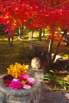 勝林寺(京都府)