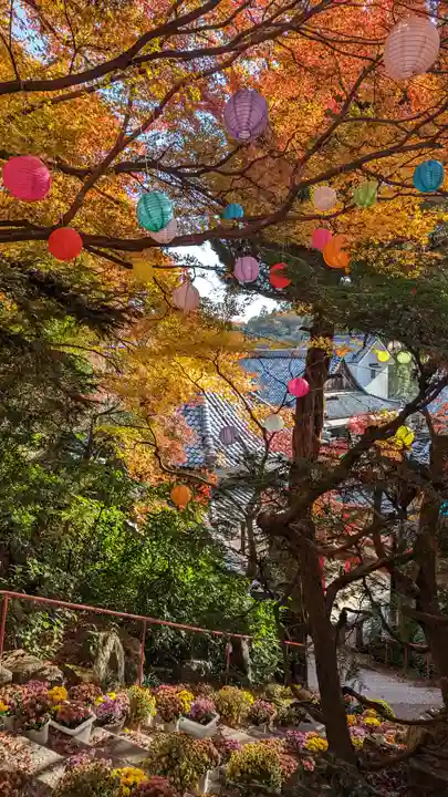 柳谷観音 楊谷寺(京都府)