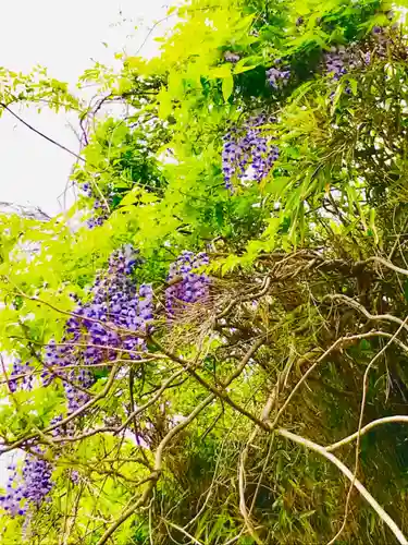 蚕影神社の自然