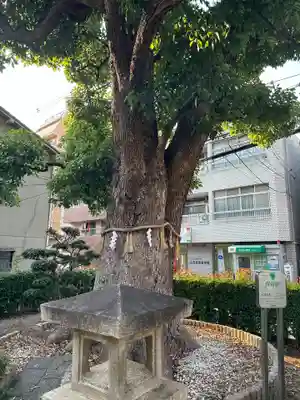多米社(多米神社跡)(大阪府)