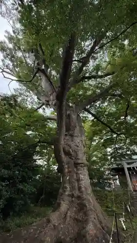 愛宕神社(福島県)