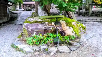 白川八幡神社の手水舎