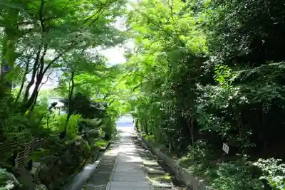 高台寺（高台寿聖禅寺・高臺寺）のその他建物