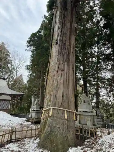 戸隠神社中社(長野県)