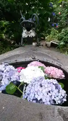 大蓮寺の手水舎