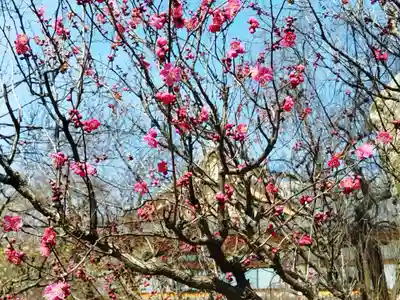 北野天満宮(京都府)