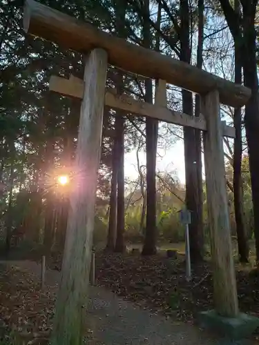 猿田神社の鳥居