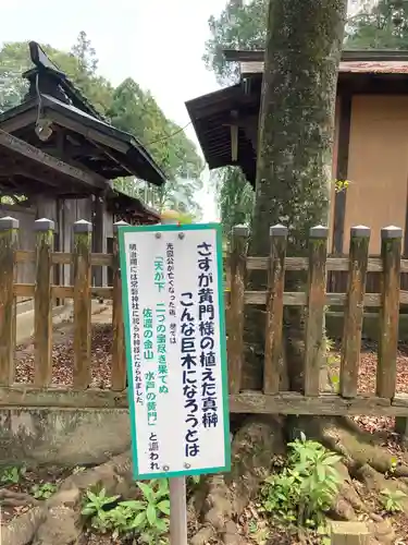 鹿島八幡神社(茨城県)