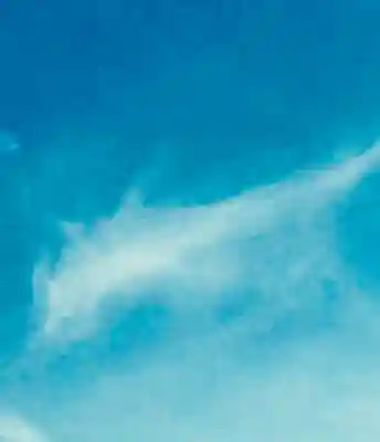 龍福寺(千葉県)