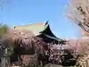 五條天神社の本殿・本堂