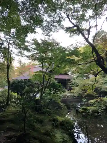 南禅院の景色