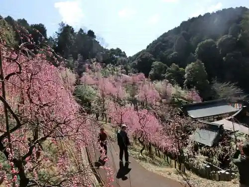 大縣神社の庭園