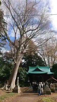 酒門神社の本殿・本堂