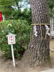 松先稲荷神社(千葉県)