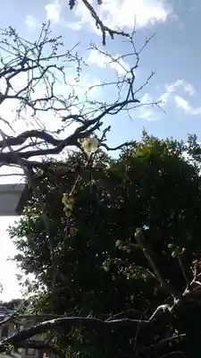 比佐豆知神社(三重県)