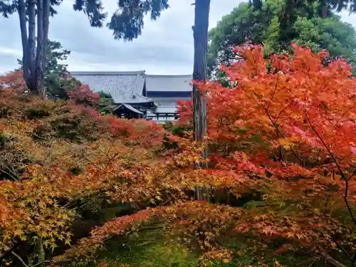 東福禅寺（東福寺）の自然
