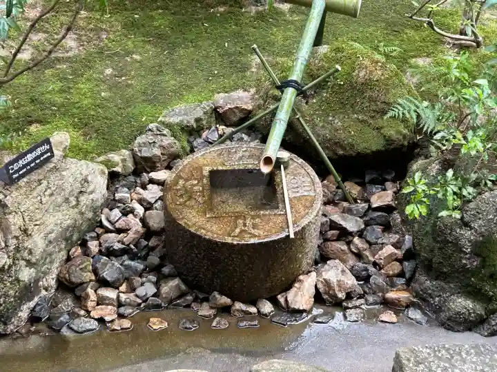 龍安寺の{uncategorized: "未分類", other: "その他", undefined: "問題あり", building: "その他建物", grave: "お墓", sacred_gate: "鳥居", guardian: "狛犬", statue: "像", buddha: "仏像", history: "歴史", nature: "自然", garden: "庭園", animal: "動物", pagoda: "塔", temizu: "手水舎", mountain_gate: "山門・神門", sanctuary: "本殿・本堂", subordinate: "末社・摂社", art: "芸術", scenery: "景色", jizo: "地蔵", ema: "絵馬", goshuin: "御朱印", omikuji: "おみくじ", items: "授与品その他", amulet: "お守り", goshuincho: "御朱印帳", eats: "食事", festival: "お祭り", votive_dance: "神楽", shichigosan: "七五三参", wedding: "結婚式", experience: "体験その他", initially: "初詣", around: "周辺", anti_infection: "感染症対策"}