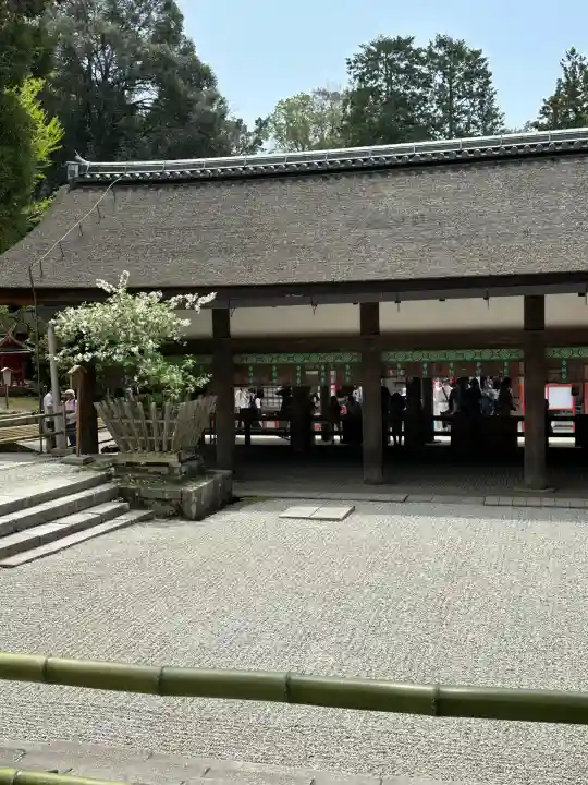 春日大社(奈良県)