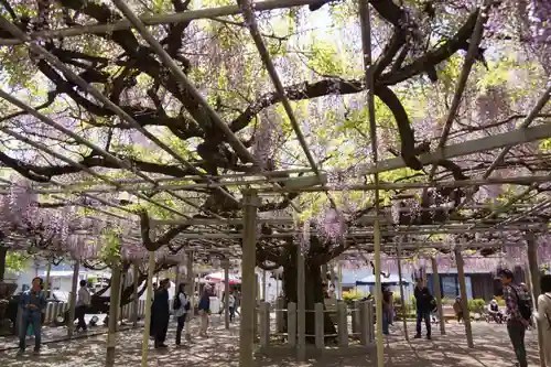 大歳神社(兵庫県)
