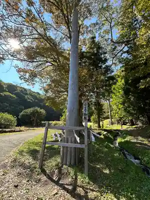 諏訪大社上社前宮(長野県)