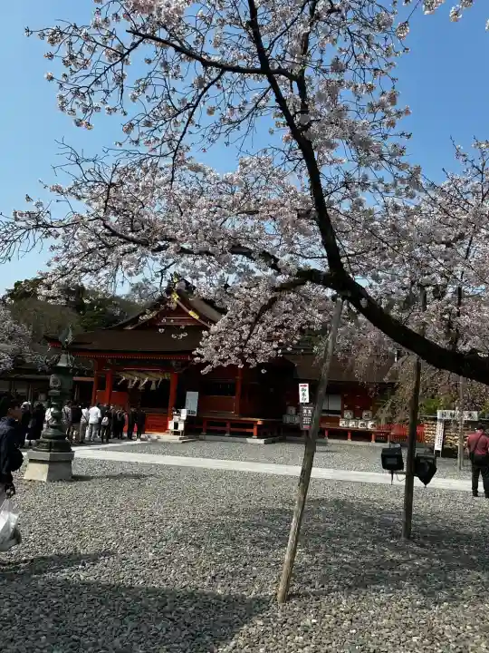 富士山本宮浅間大社の{uncategorized: "未分類", other: "その他", undefined: "問題あり", building: "その他建物", grave: "お墓", sacred_gate: "鳥居", guardian: "狛犬", statue: "像", buddha: "仏像", history: "歴史", nature: "自然", garden: "庭園", animal: "動物", pagoda: "塔", temizu: "手水舎", mountain_gate: "山門・神門", sanctuary: "本殿・本堂", subordinate: "末社・摂社", art: "芸術", scenery: "景色", jizo: "地蔵", ema: "絵馬", goshuin: "御朱印", omikuji: "おみくじ", items: "授与品その他", amulet: "お守り", goshuincho: "御朱印帳", eats: "食事", festival: "お祭り", votive_dance: "神楽", shichigosan: "七五三参", wedding: "結婚式", experience: "体験その他", initially: "初詣", around: "周辺", anti_infection: "感染症対策"}