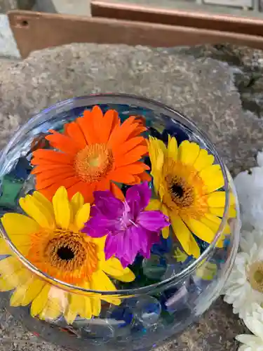 彌都加伎神社の手水舎