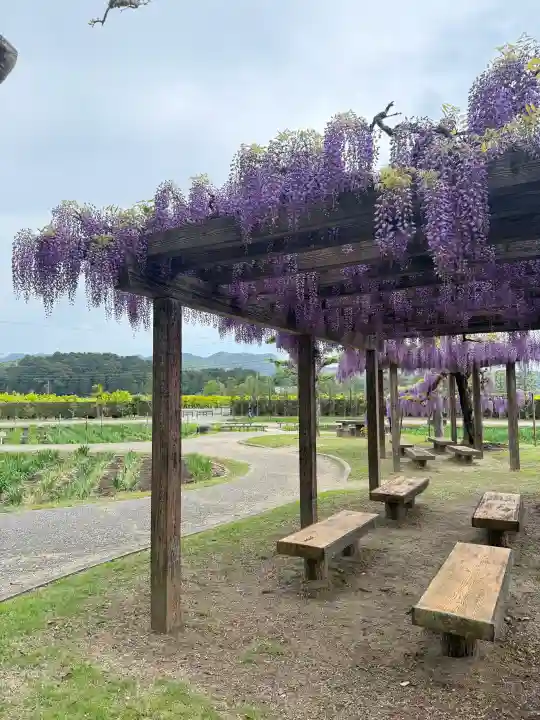 賀茂神社の{uncategorized: "未分類", other: "その他", undefined: "問題あり", building: "その他建物", grave: "お墓", sacred_gate: "鳥居", guardian: "狛犬", statue: "像", buddha: "仏像", history: "歴史", nature: "自然", garden: "庭園", animal: "動物", pagoda: "塔", temizu: "手水舎", mountain_gate: "山門・神門", sanctuary: "本殿・本堂", subordinate: "末社・摂社", art: "芸術", scenery: "景色", jizo: "地蔵", ema: "絵馬", goshuin: "御朱印", omikuji: "おみくじ", items: "授与品その他", amulet: "お守り", goshuincho: "御朱印帳", eats: "食事", festival: "お祭り", votive_dance: "神楽", shichigosan: "七五三参", wedding: "結婚式", experience: "体験その他", initially: "初詣", around: "周辺", anti_infection: "感染症対策"}