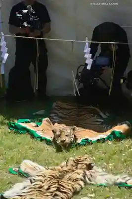 相模国総社六所神社(神奈川県)